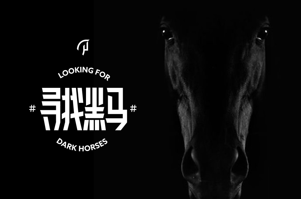 LOOKING DARK HORSE